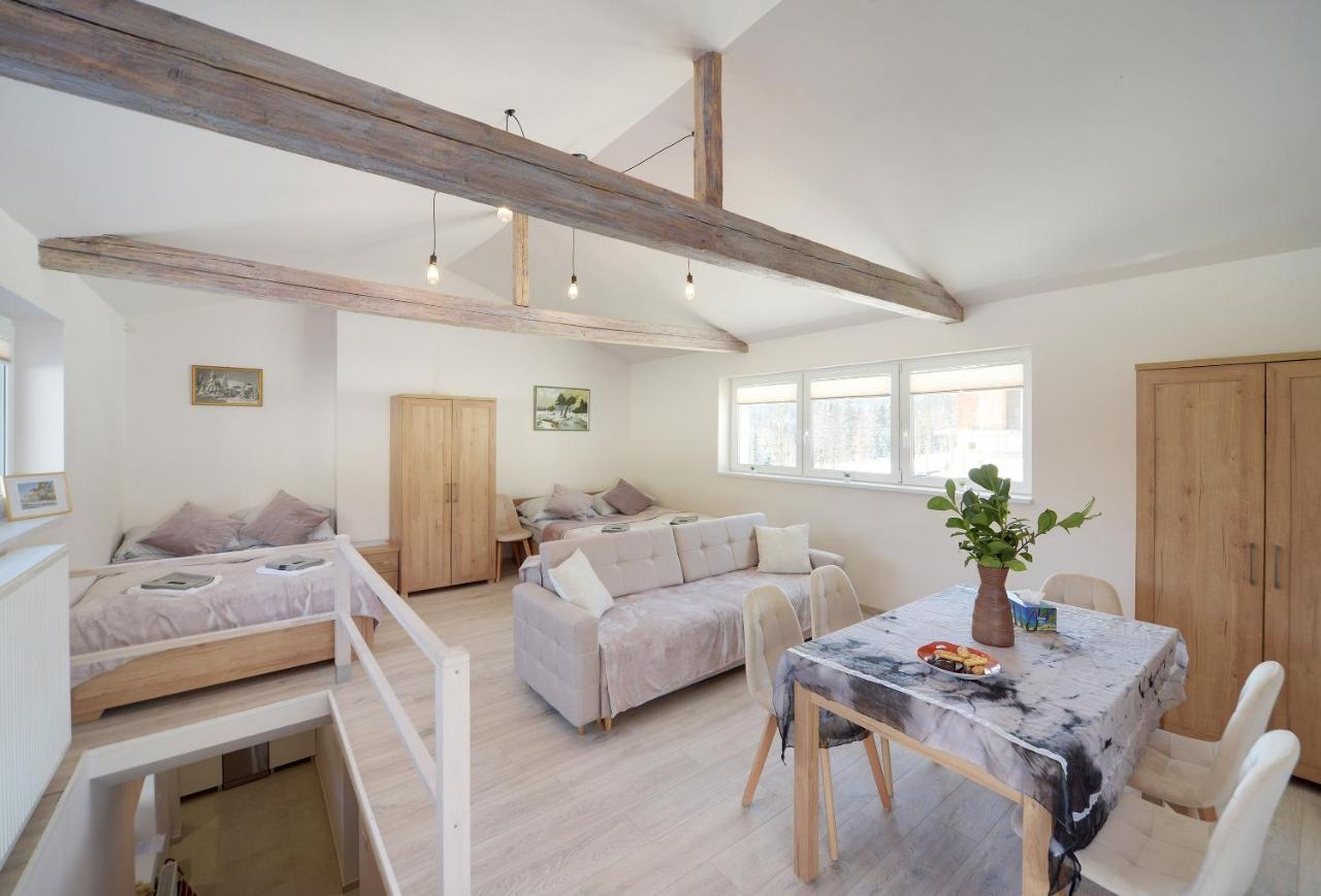 śnieżna Polana Apartament